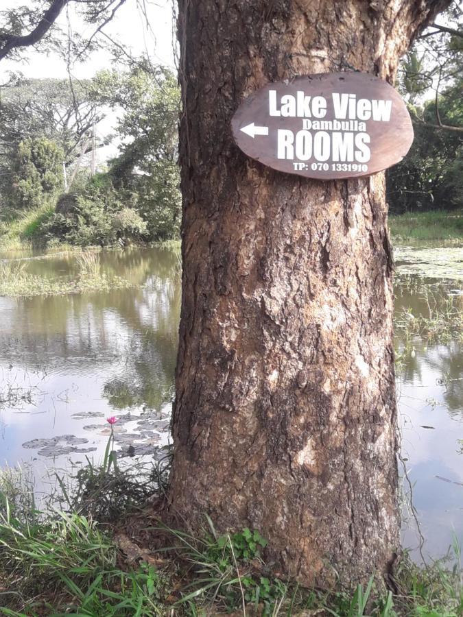 Lake View Дамбулла Экстерьер фото